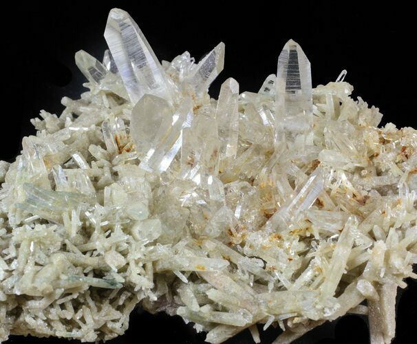 Himalayan Quartz Crystal Cluster with Chlorite Inclusions #63044